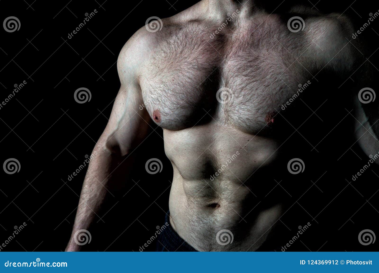 Torso Muscular Male Body. Bodybuilder Achievement Great Shape