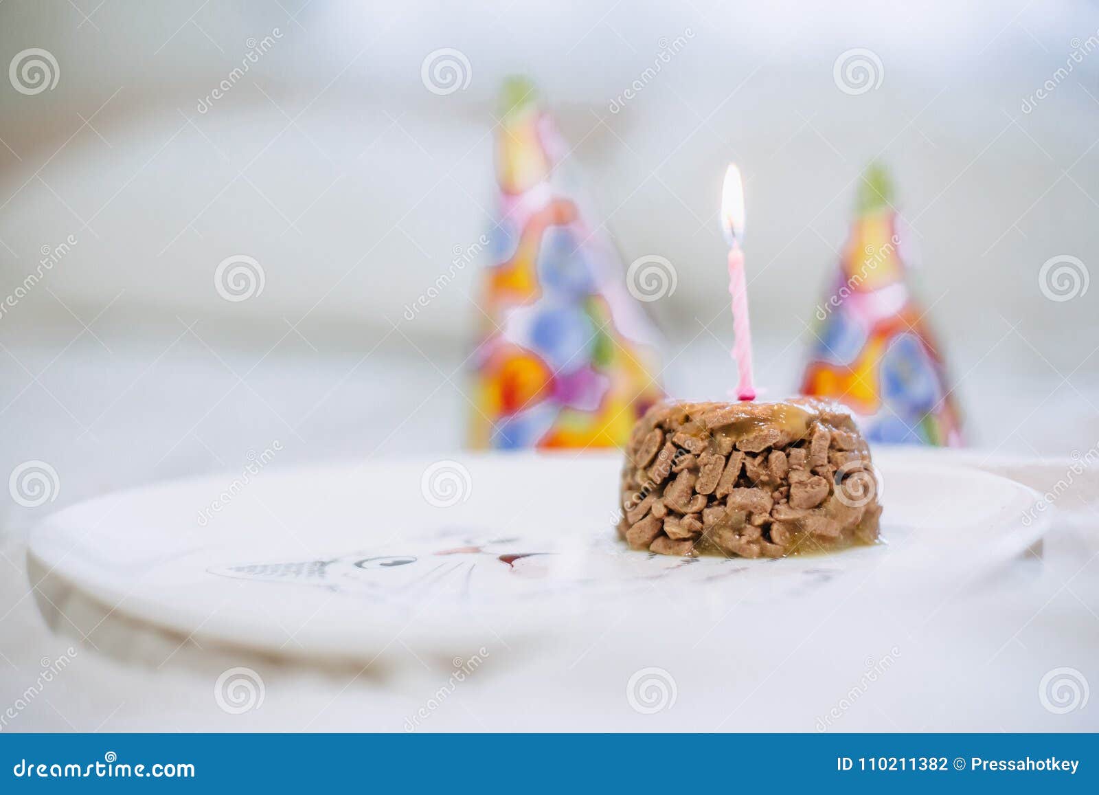 Torta Del Alimento Para Animales Para El Cumpleaños Del Gato Foto de  archivo - Imagen de cachorro, enojado: 110211382