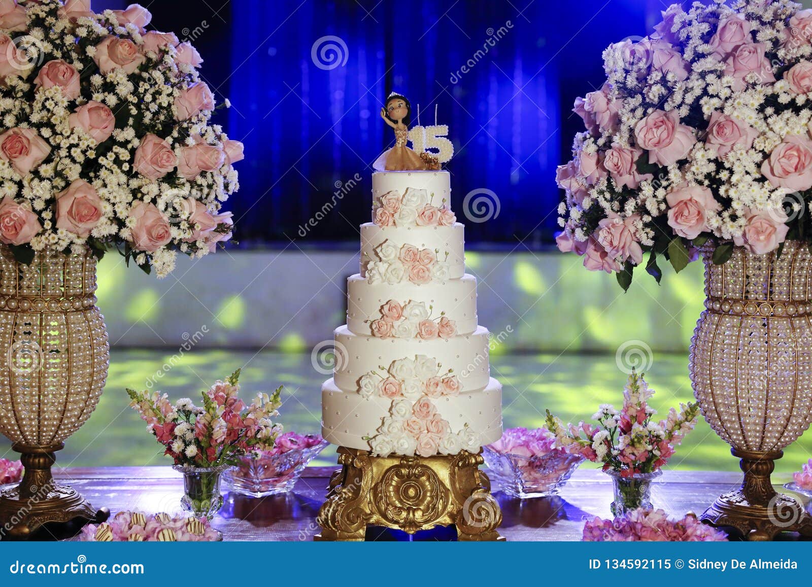 Torta Del Partido, Torta De Cumpleaños De 15 Años, Quince Años Imagen de archivo - Imagen de quince, cumpleaños: 134592115
