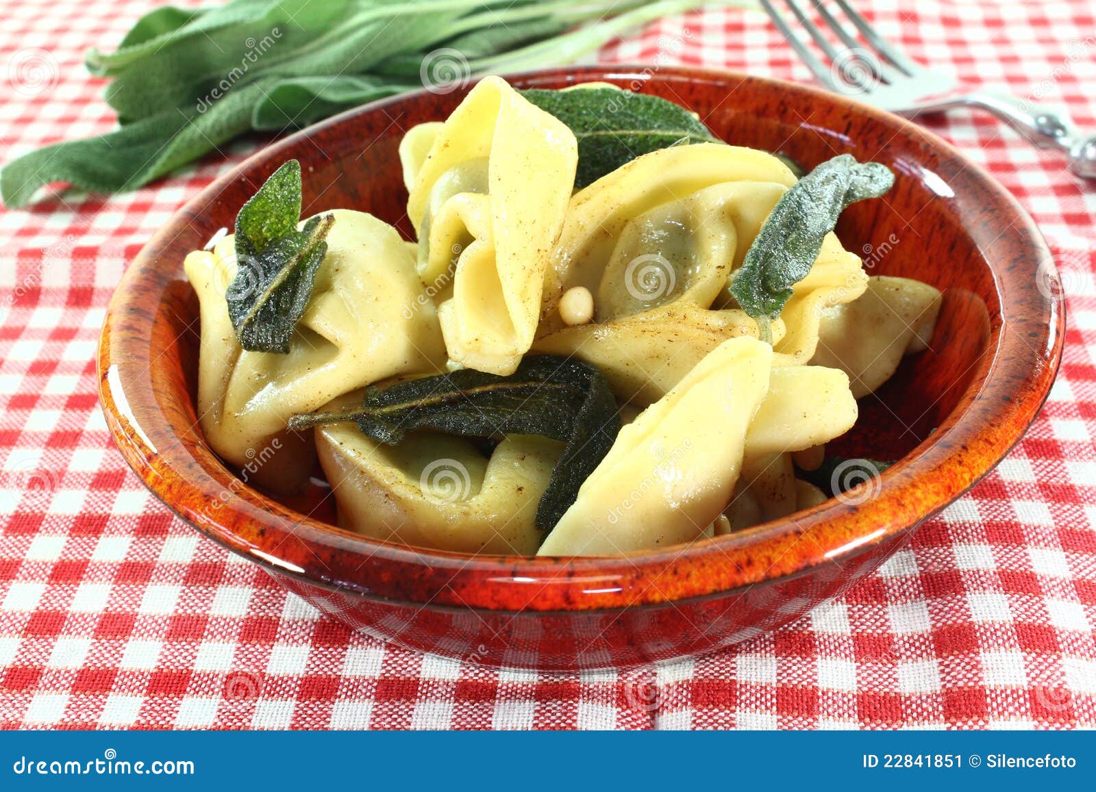 Tortellini stock image. Image of gourmet, meal, rocket 22841851