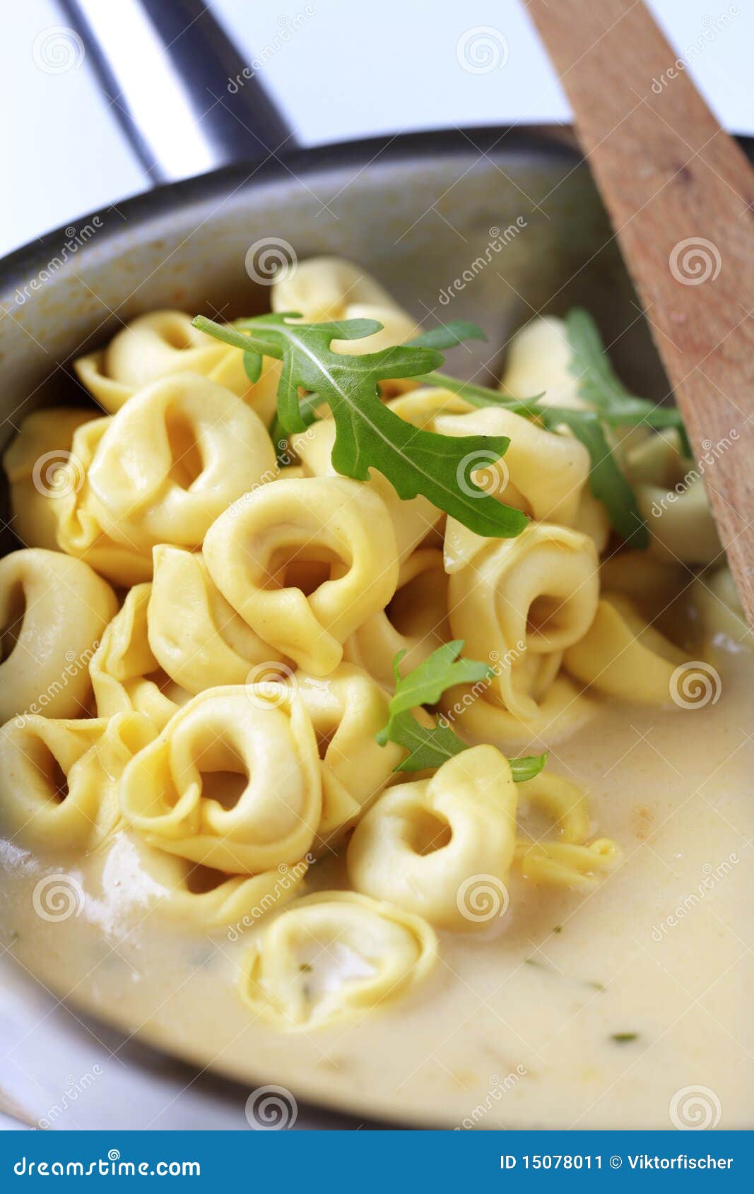 Tortellini and cream sauce stock image. Image of recipe 15078011