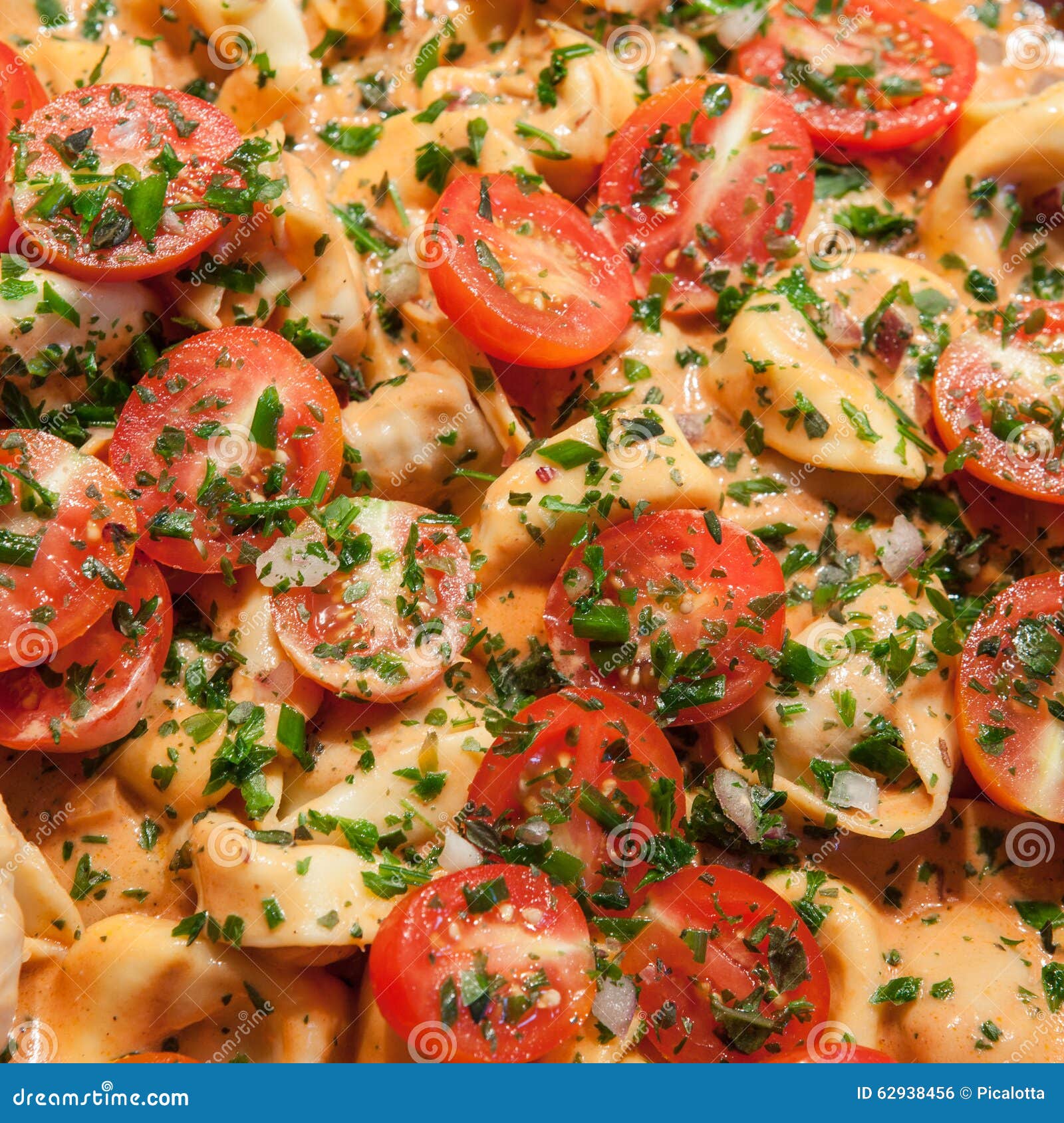 Tortellini with Fresh Tomatoes Stock Photo Image of salad, tortellini