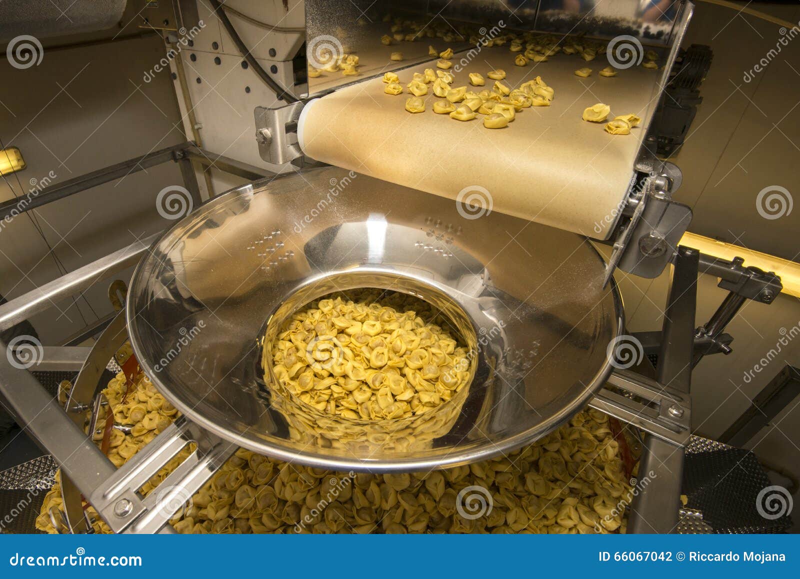 Tortellini Pasta Production Line Stock Photo Image of conveyor, food