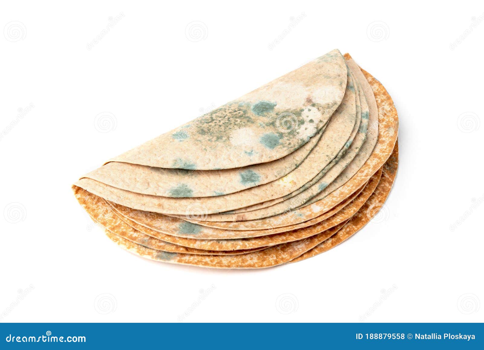 Tortilla with Mold Isolated on White Background Stock Photo Image of