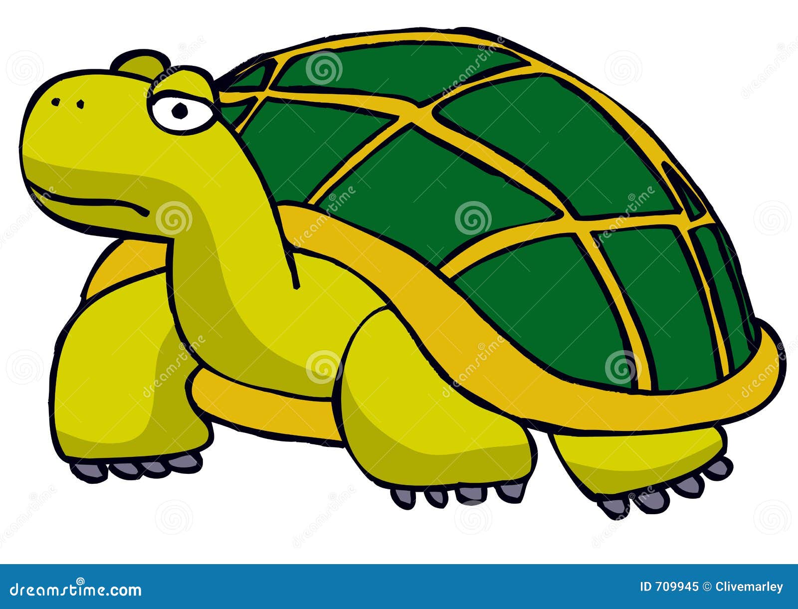 Tortoise stock illustration. Illustration of tortoise, slow - 709945