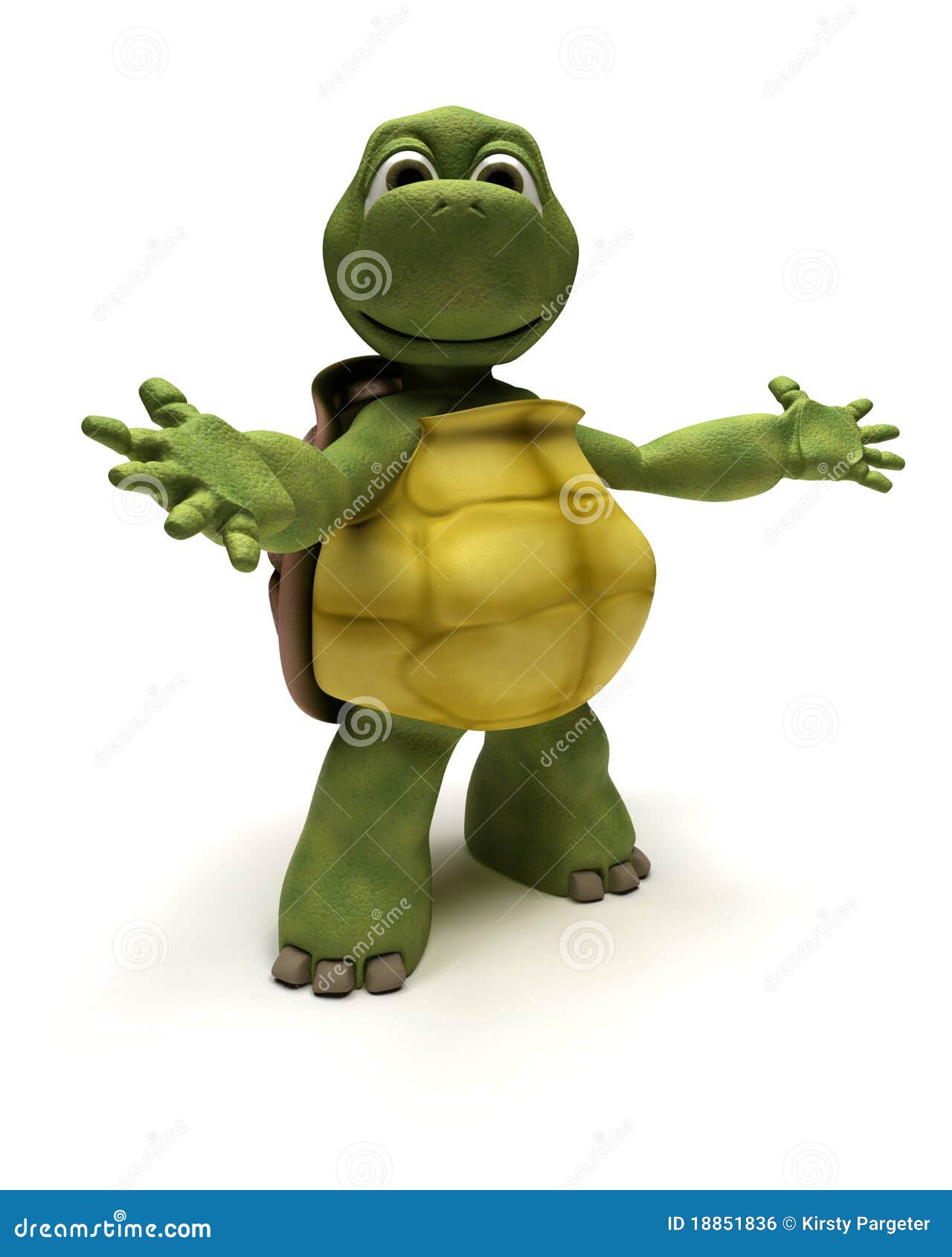 tortoise in an introduction pose