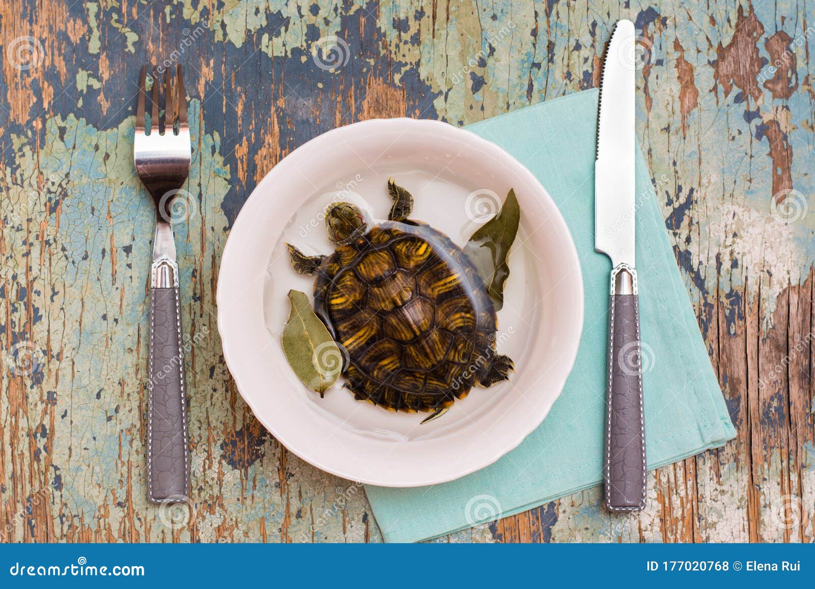 Tortue Vivante Dans Un Plat Avec La Feuille De Laurier Et De L'eau Et Des  Couverts Sur La Table. Imitation De Soupe De Tortue. Con Photo stock -  Image du créativité, nourriture