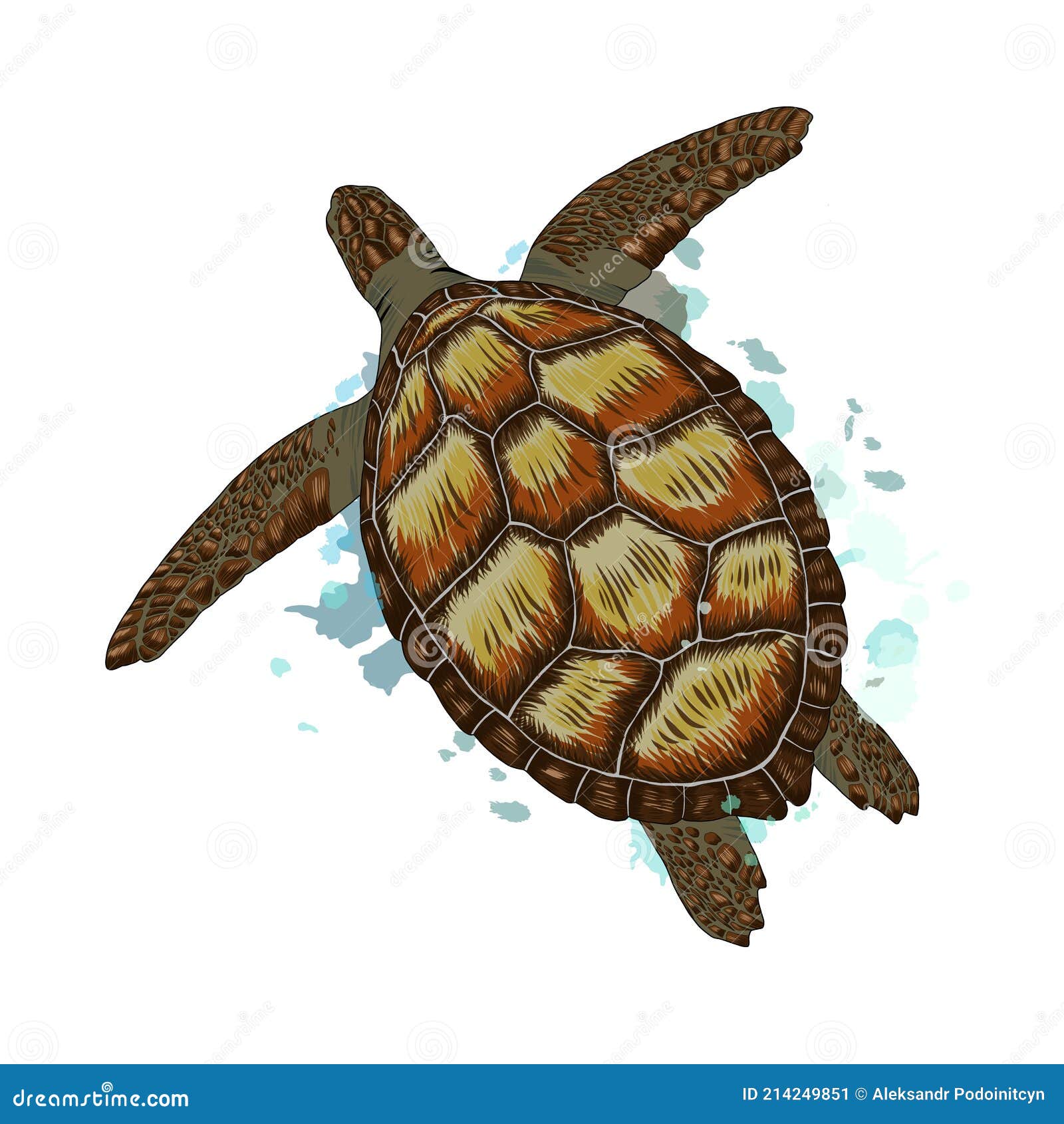 Tortuga De Mar De Un Toque De Acuarela De Color Dibujo Realista Ilustración  del Vector - Ilustración de hermoso, vector: 214249851