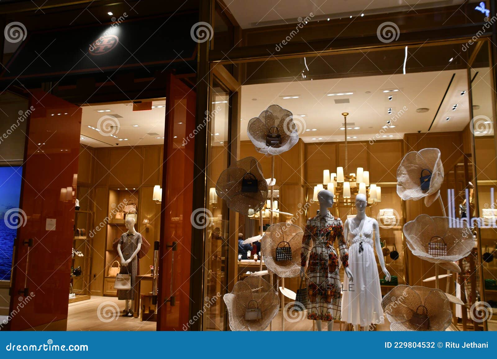 Tory Burch Store at the Shops and Restaurants at Hudson Yards in Manhattan,  New York City Editorial Photography - Image of accessories, cityscape:  229804532