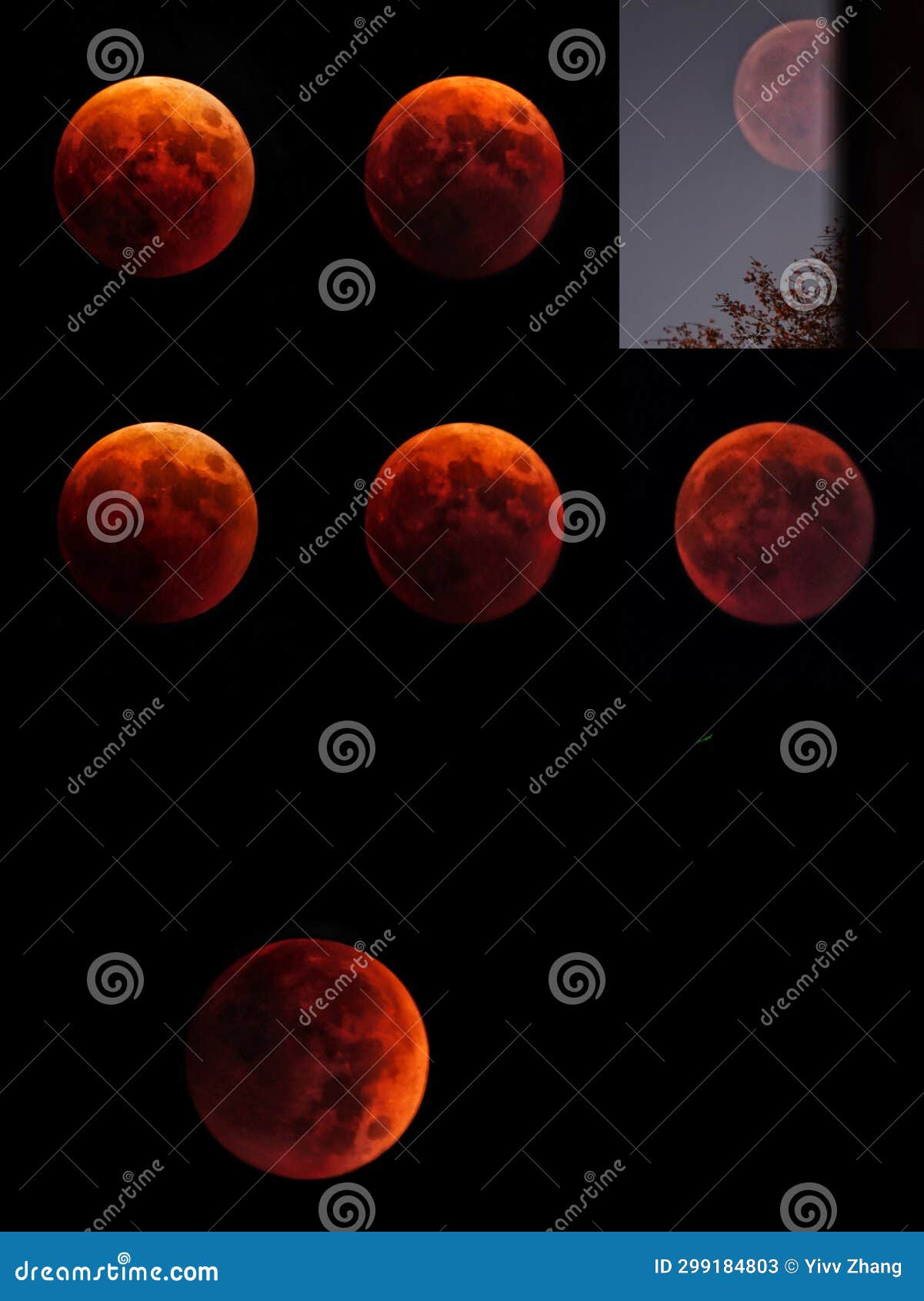 Total Moon Eclipse, Total Lunar Eclipse, Blood Moon, Super Moon Stock