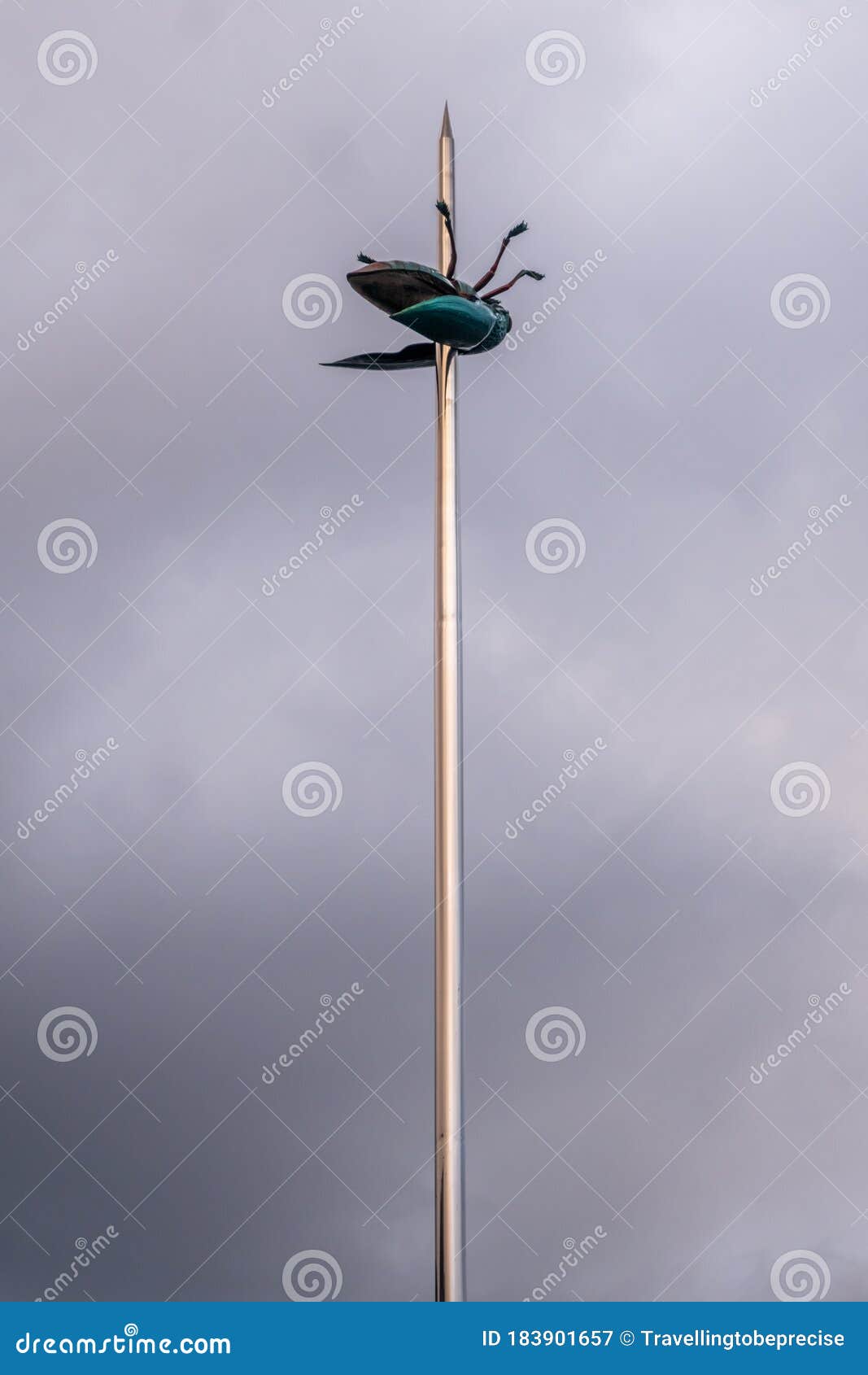Impaled Beetle: the 2004 Sculpture Totem by Renowned Artist Jan Fabre, at  the Square Ladeuzeplein, Leuven, Belgium Stock Image - Image of library,  landmarks: 183901657