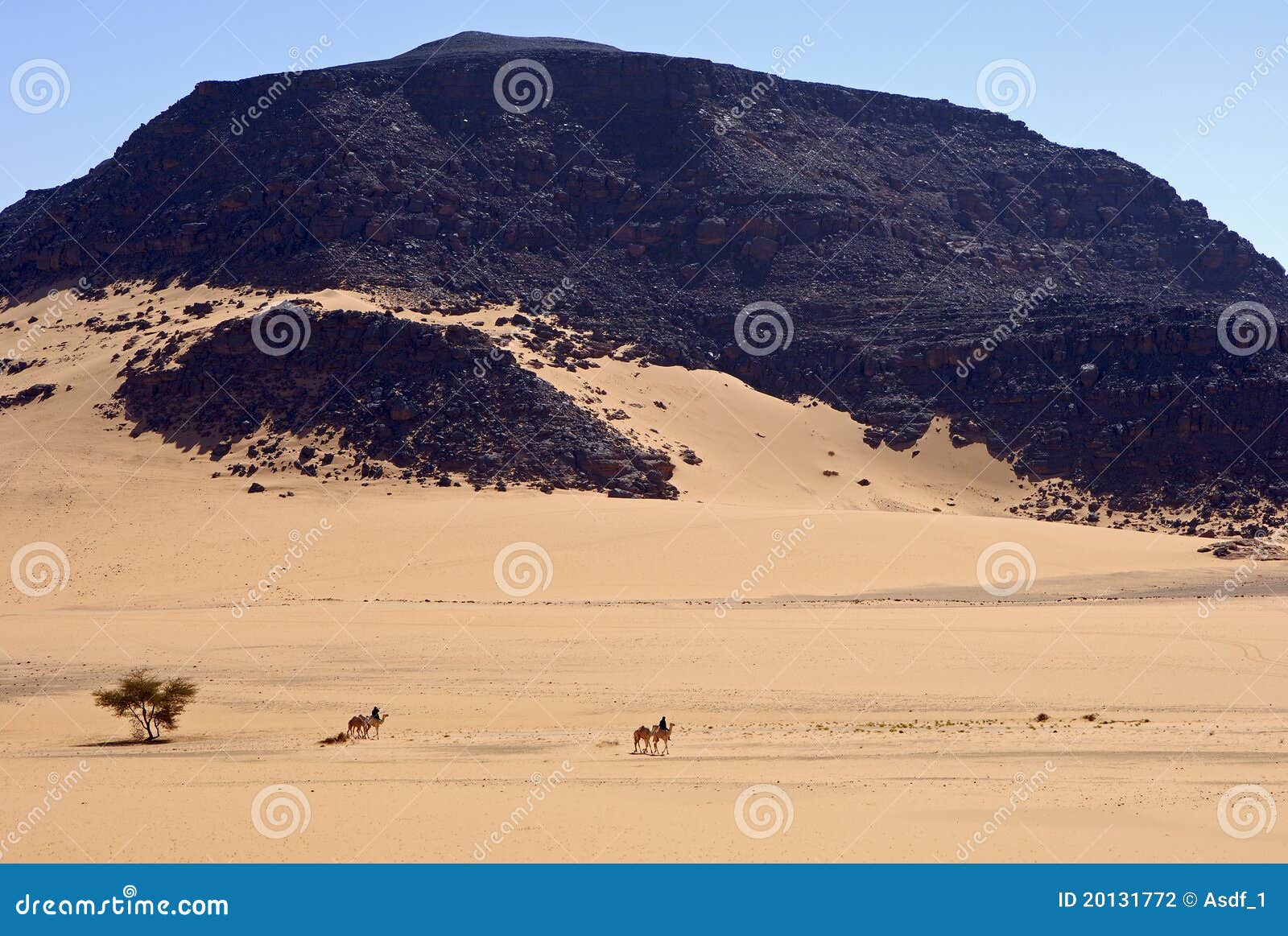 touareg nomads crossing a vast desert