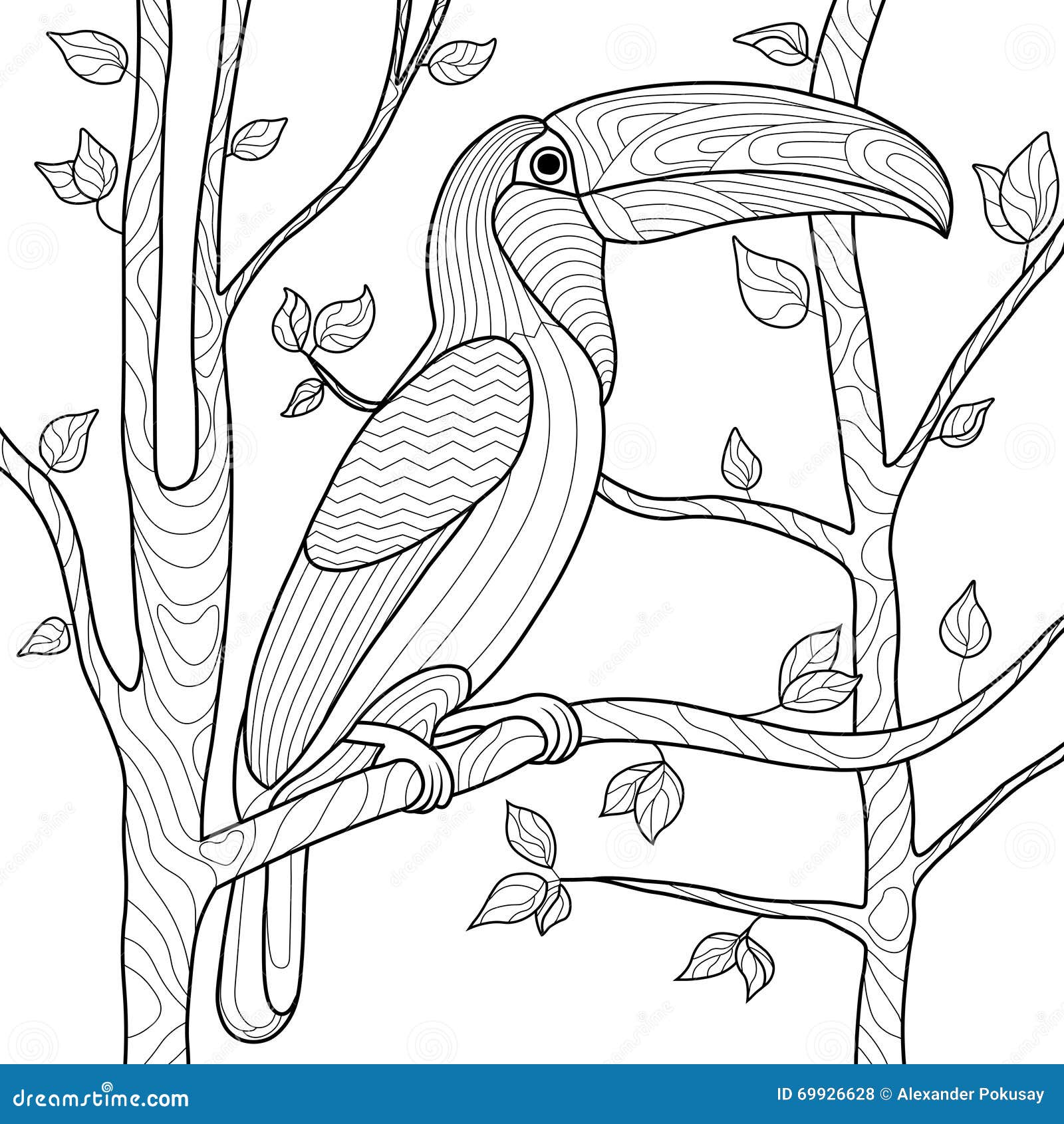 Toucan Coloring Book For Adults Vector Stock Vector ...