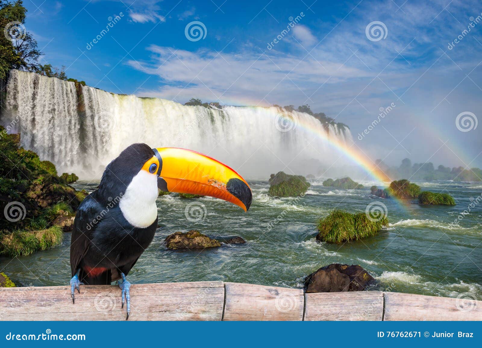 toucan at the majestic cataratas iguasu falls