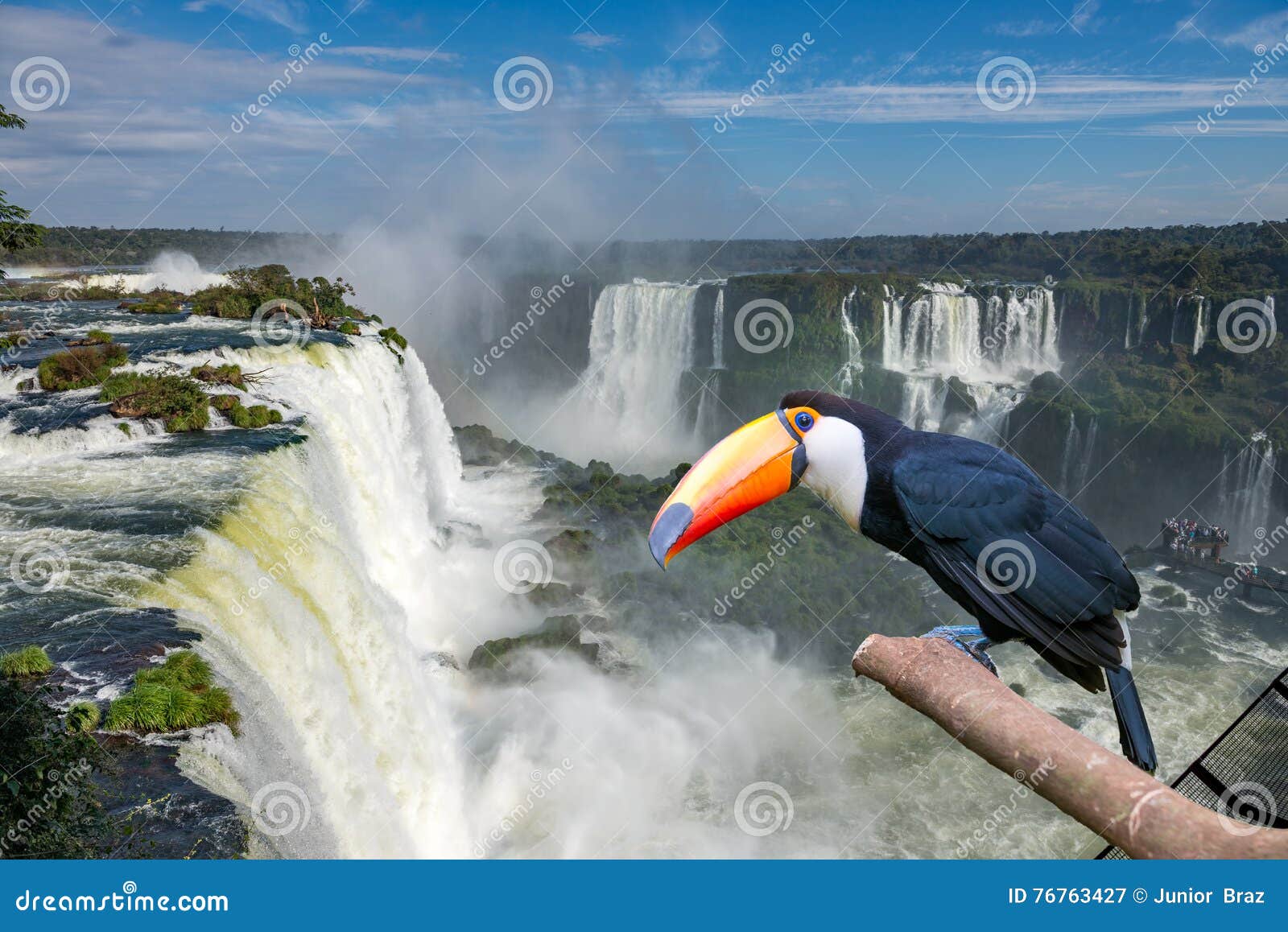 toucan toco at the cataratas of iguacu