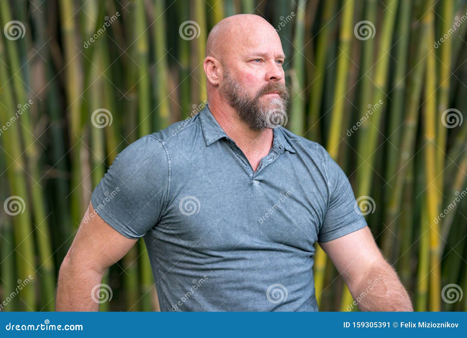 Tough Guy Looking Away from Camera. Bald Head with Full Beard Stock Image -  Image of candid, macho: 159305391