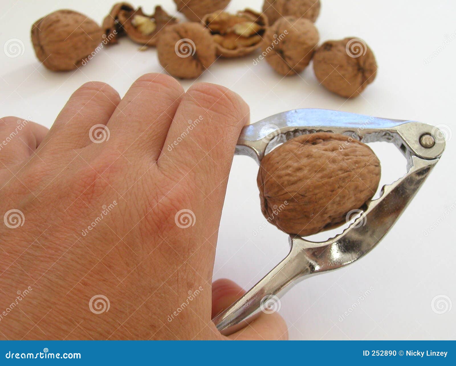 do nutcrackers crack nuts