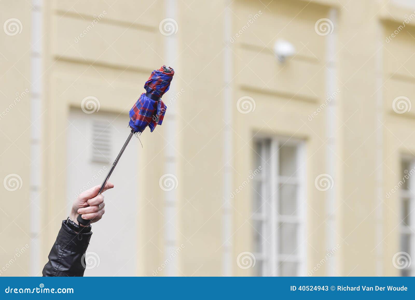 tour guide umbrella