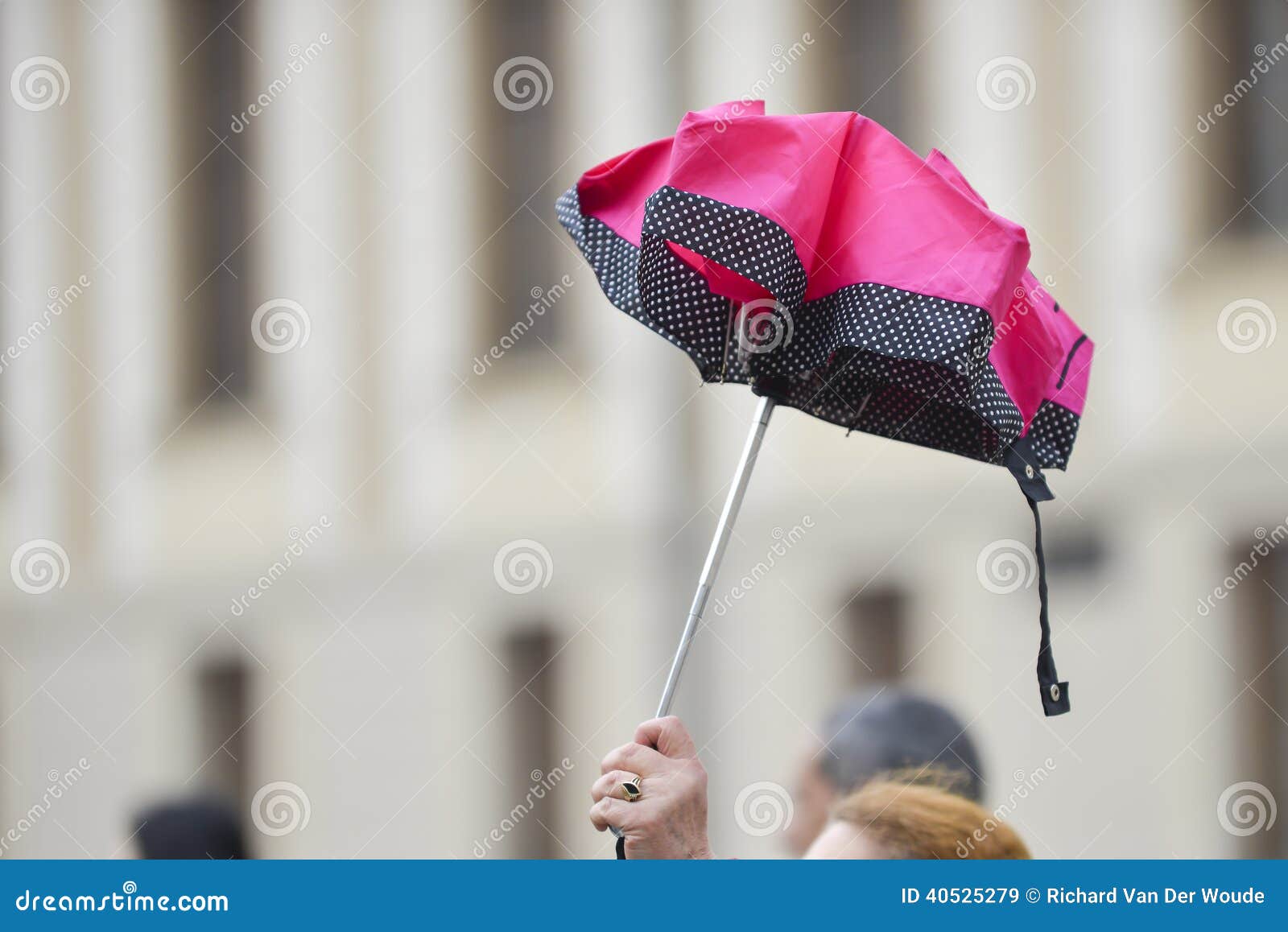 tour guide umbrella