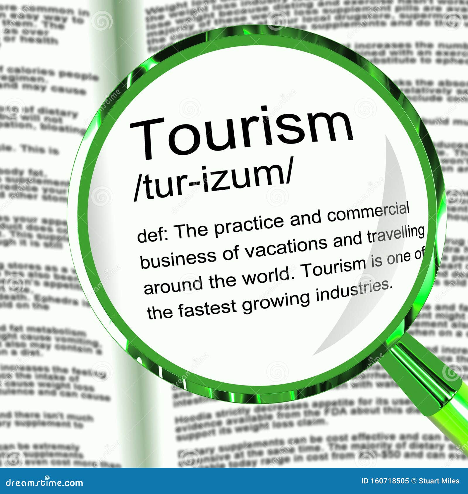 what does tourism mean