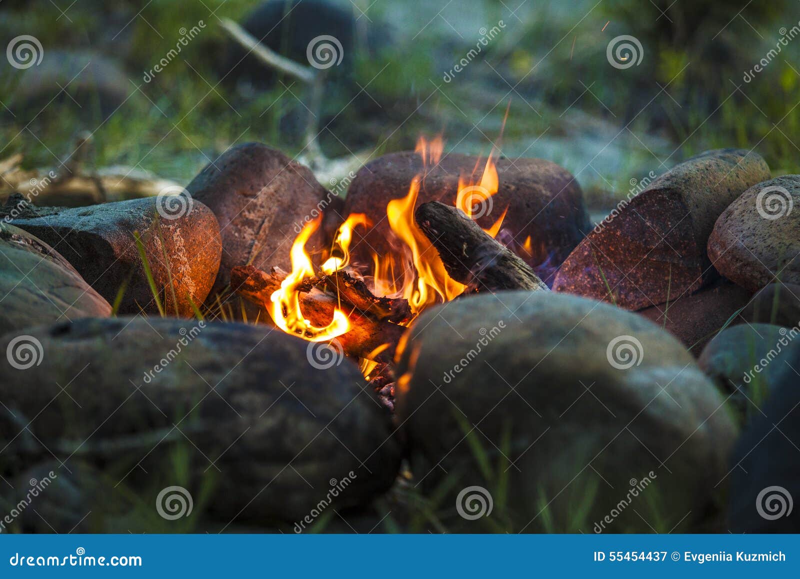 Tourist Bonfire at Dusk in the Forest Stock Image Image of campfire