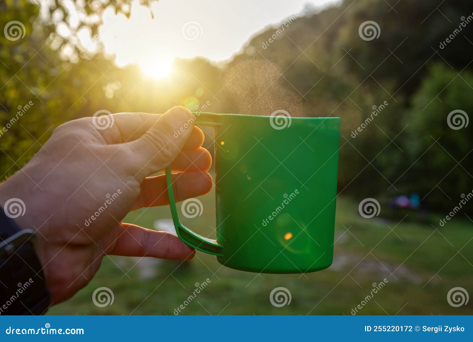 Tourist Cup of Coffee in the Morning Forest Stock Photo Image of camp