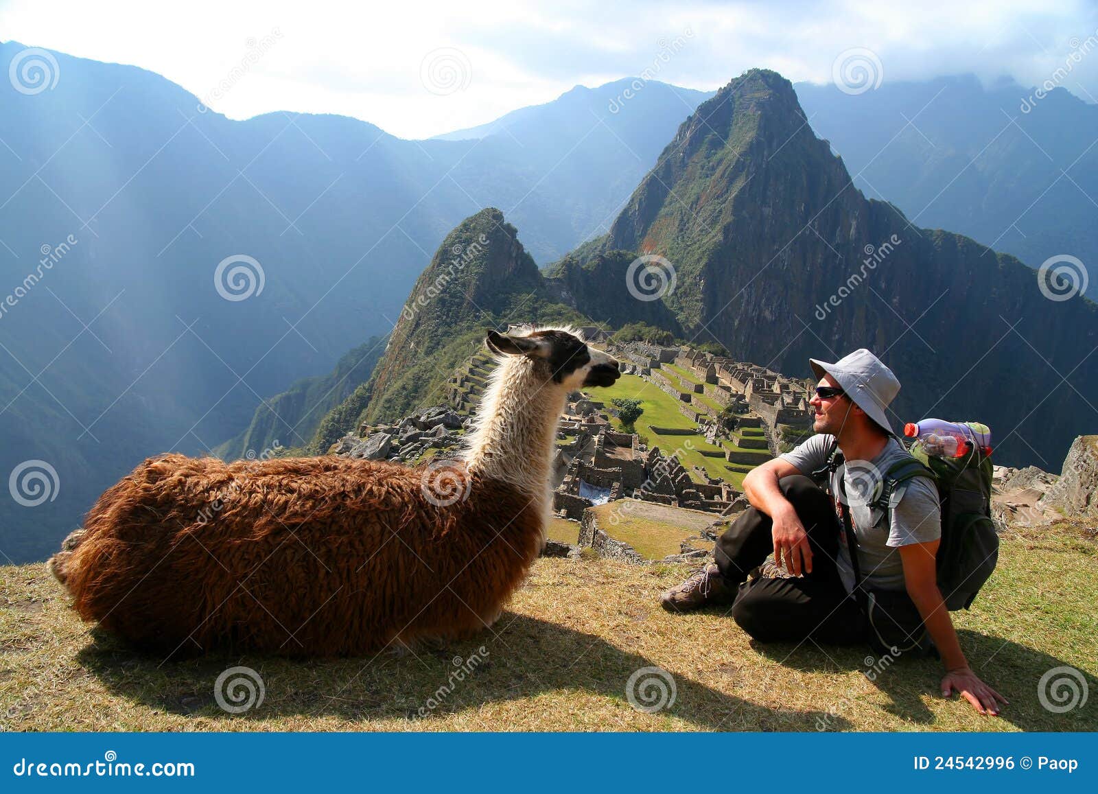 tourist and llama in machu picchu