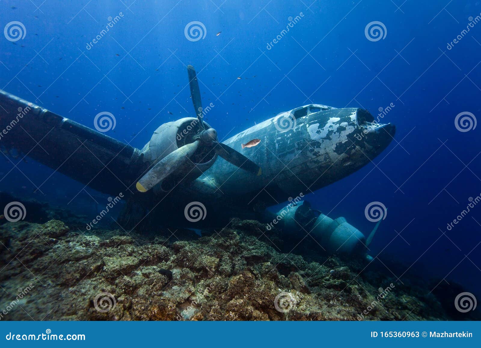 tourist plane wreck on maldive islands.  take a trip and take photos