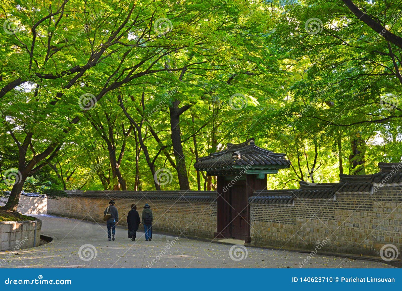 Tourist Walking Along Stone Wall Of Secret Garden Of Changdeokgung