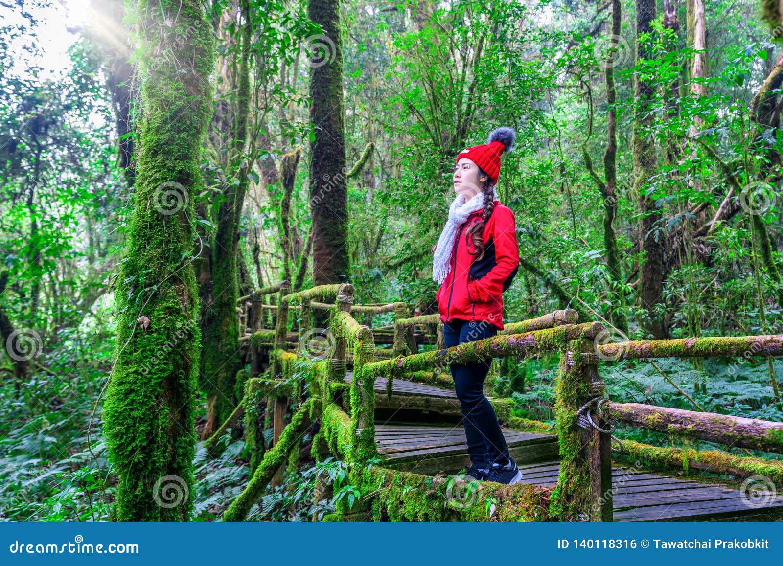 tourist walking in ang ka nature trail at doi inthanon national park , chiang mai , thailand.