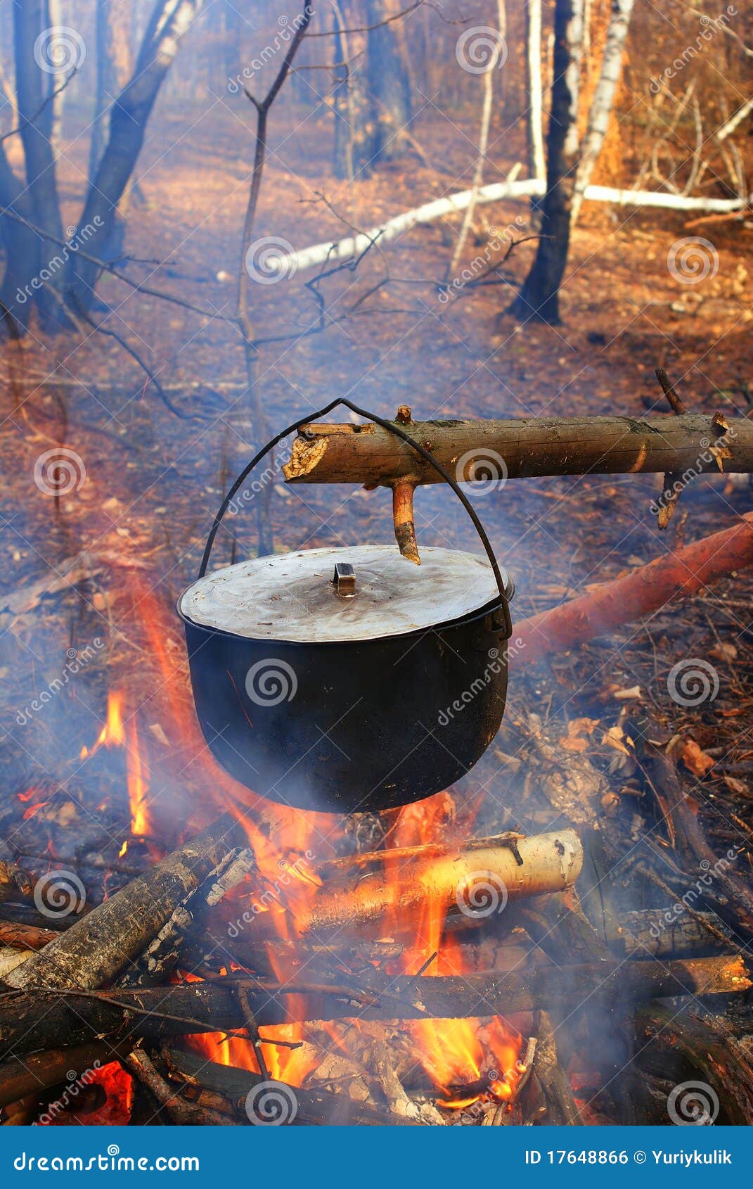 Touristic Cauldron in a Fire Stock Photo Image of firewood, camp