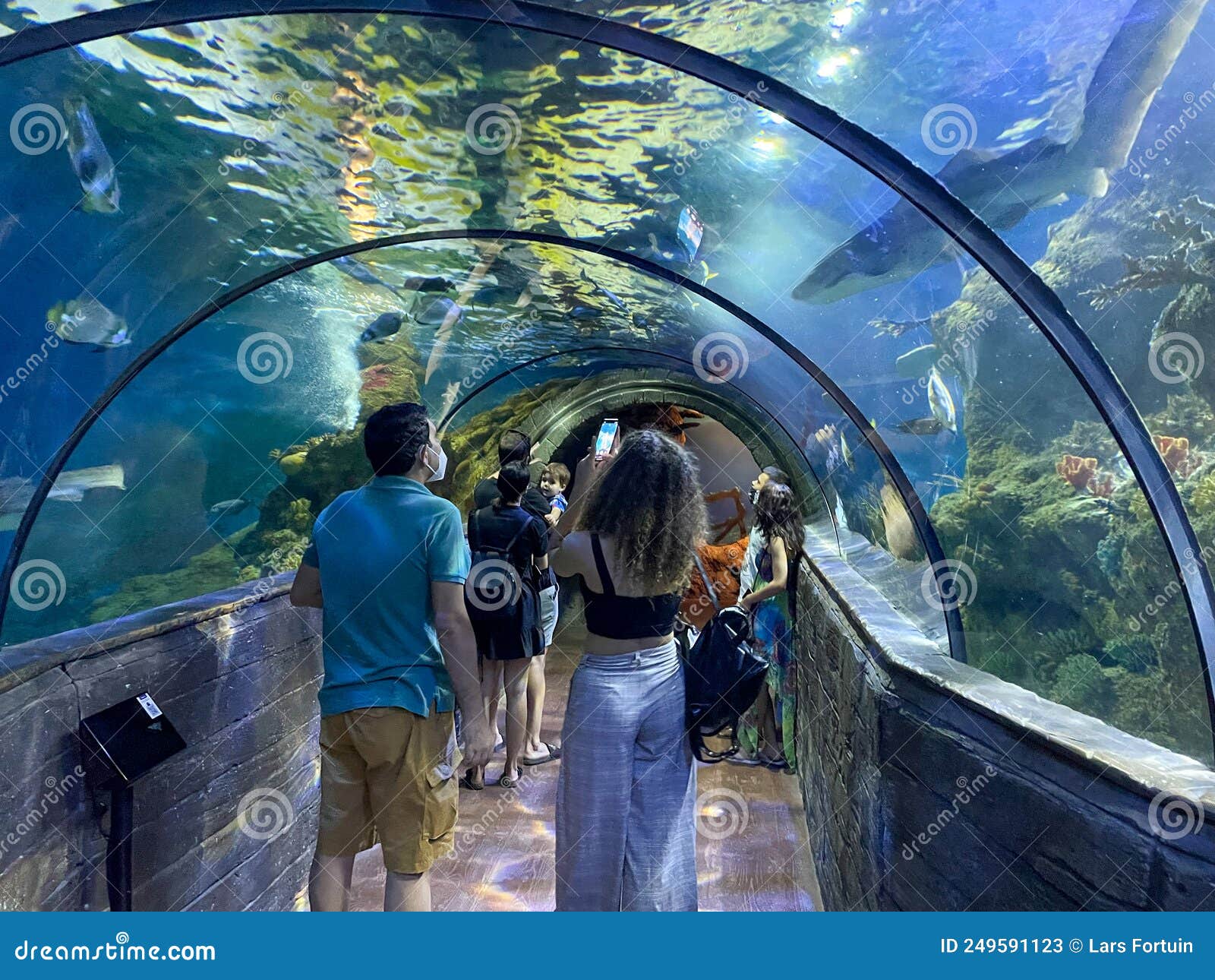 Tourists in a Glass Tunnel Under the Aquarium Editorial Stock Photo ...