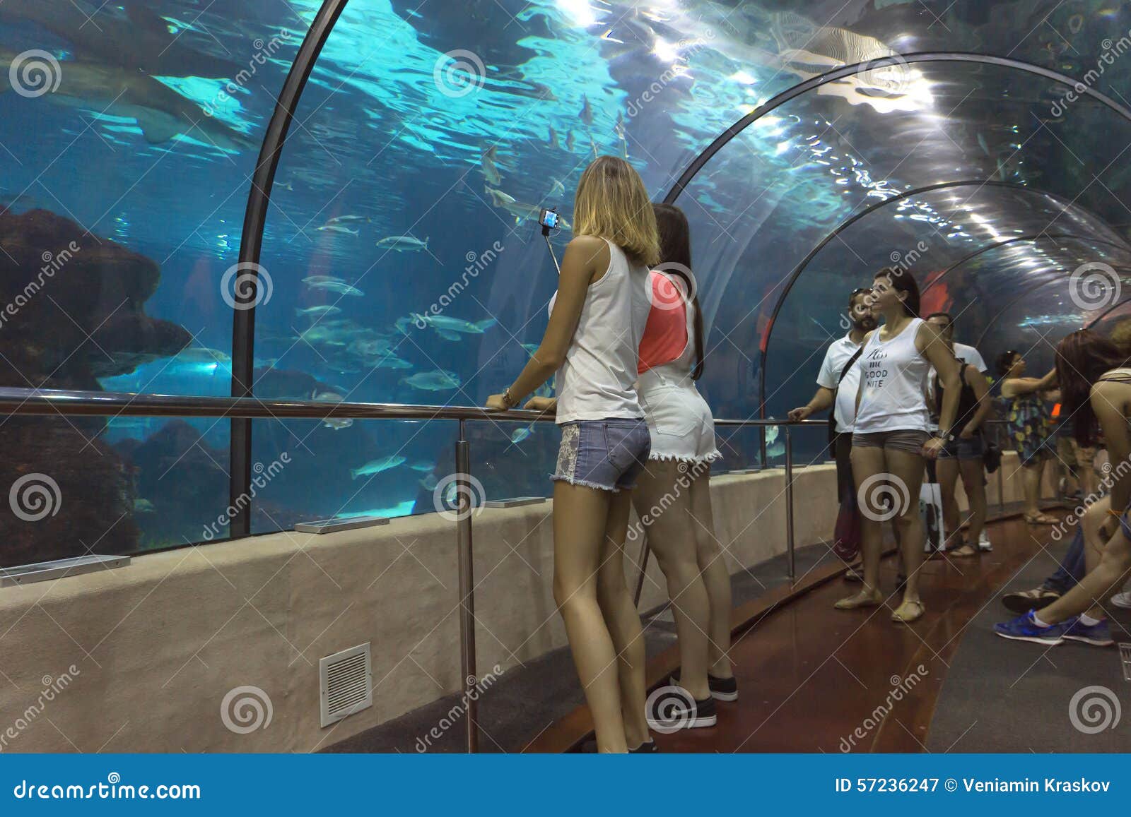 BARCELONA, SPAIN - JULY 4, 2015: Unidentified tourists looking at fishes at the aquarium of Barcelona.