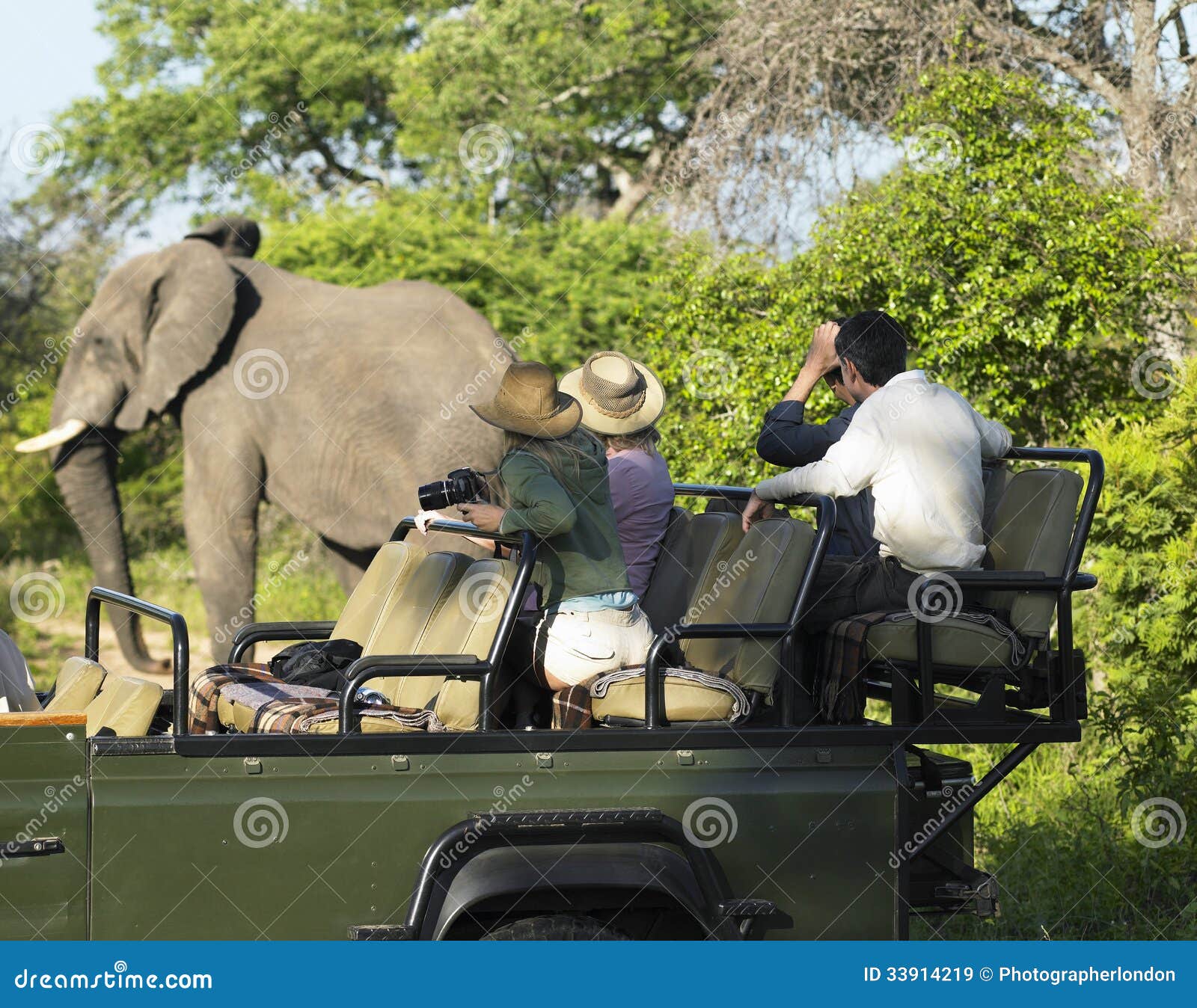 tourists on safari watching elephant