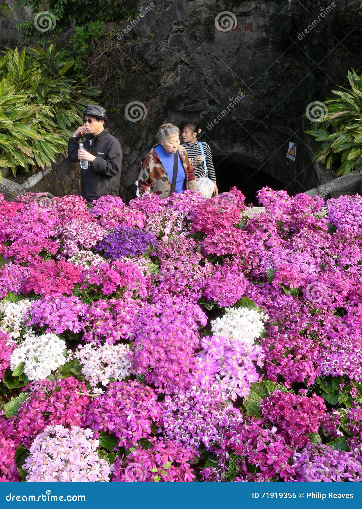 Tourists Visiting Flower Garden Editorial Photo Image of bottle