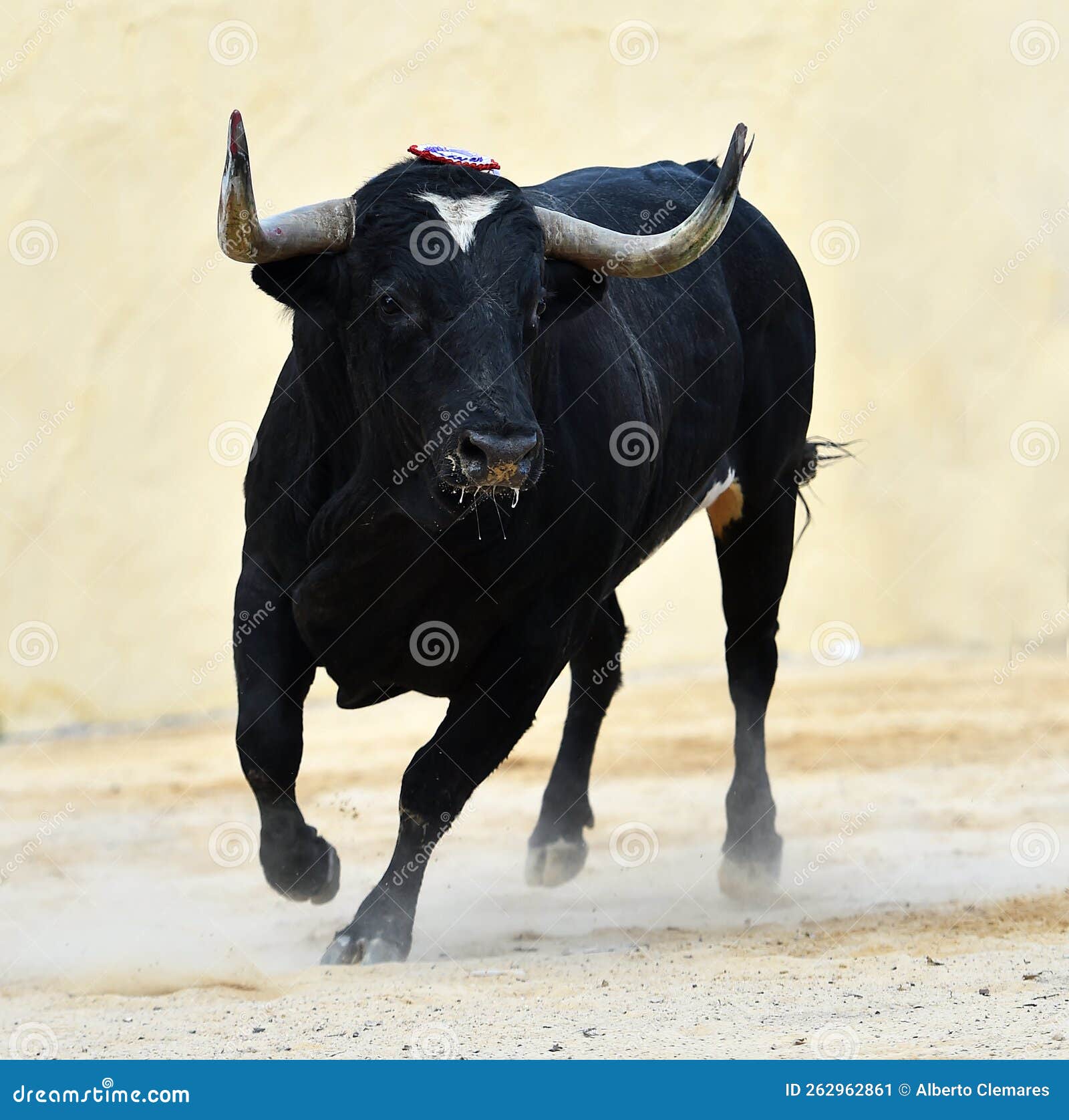 Pudim Preto Espanhol Ou Salsicha De Sangue Com Rosmaninho No Garfo