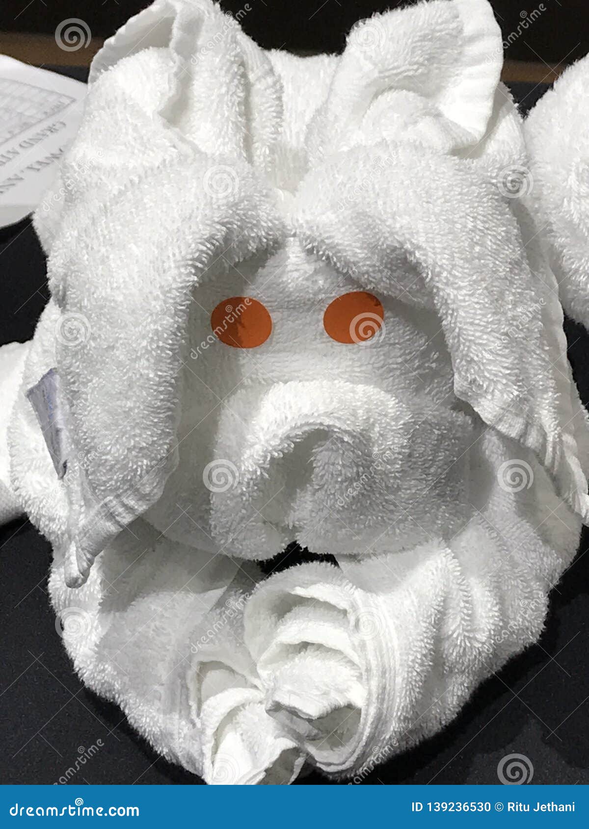 Towel Folding Animals stock photo. Image of cute, luxurious 139236530