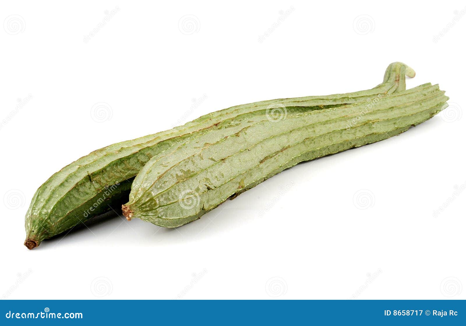 towel gourd