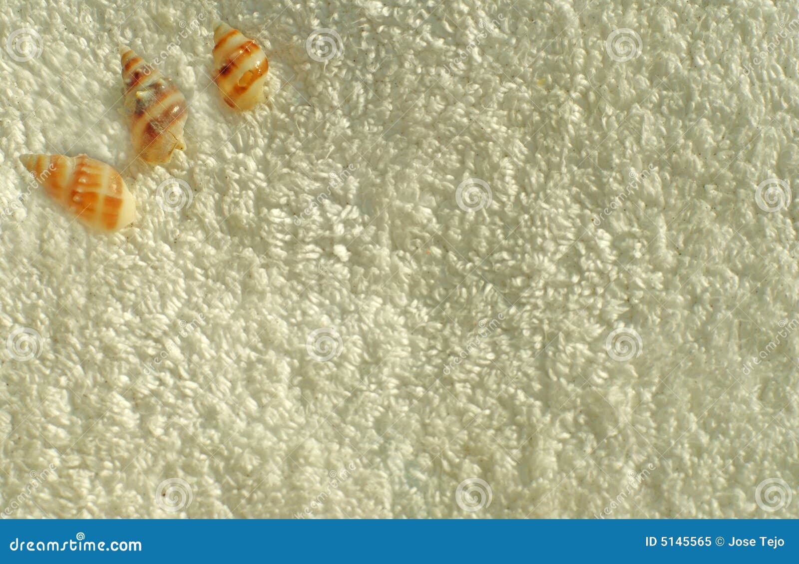 towel and sea shell background