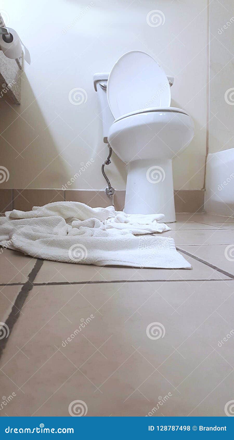 Why Is My Toilet Leaking At The Base Len The Plumber