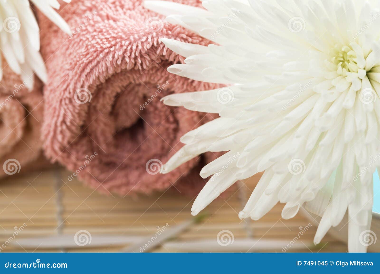 Towels and white flowers stock image. Image of flower 7491045
