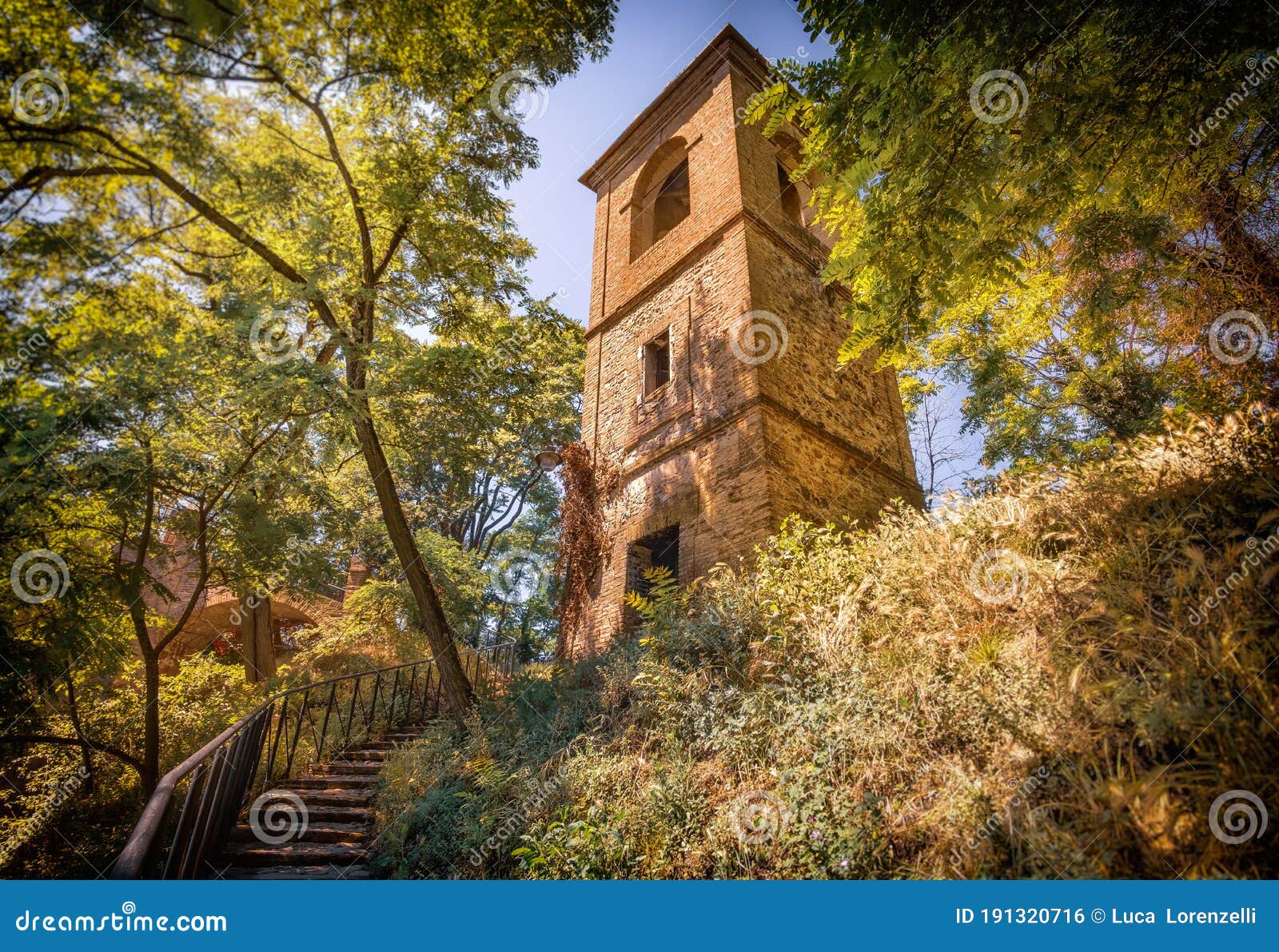 tower in forest in italy photography background - monteveglio - bologna