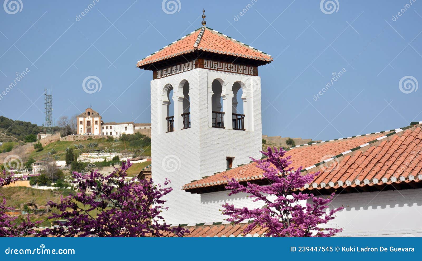 tower of the great mosque of granada