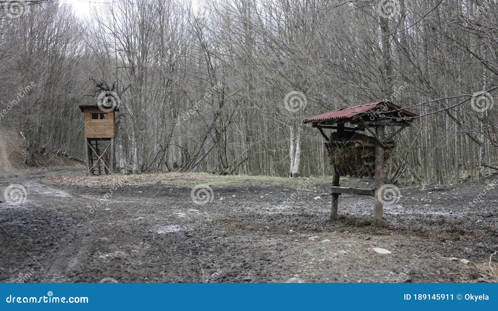 tower for observation and hunting at the feeding area with a feeder for wild ungulates