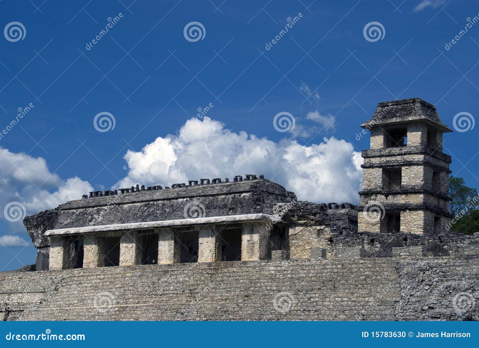 the tower and palace at palenque in chiapas, mexic
