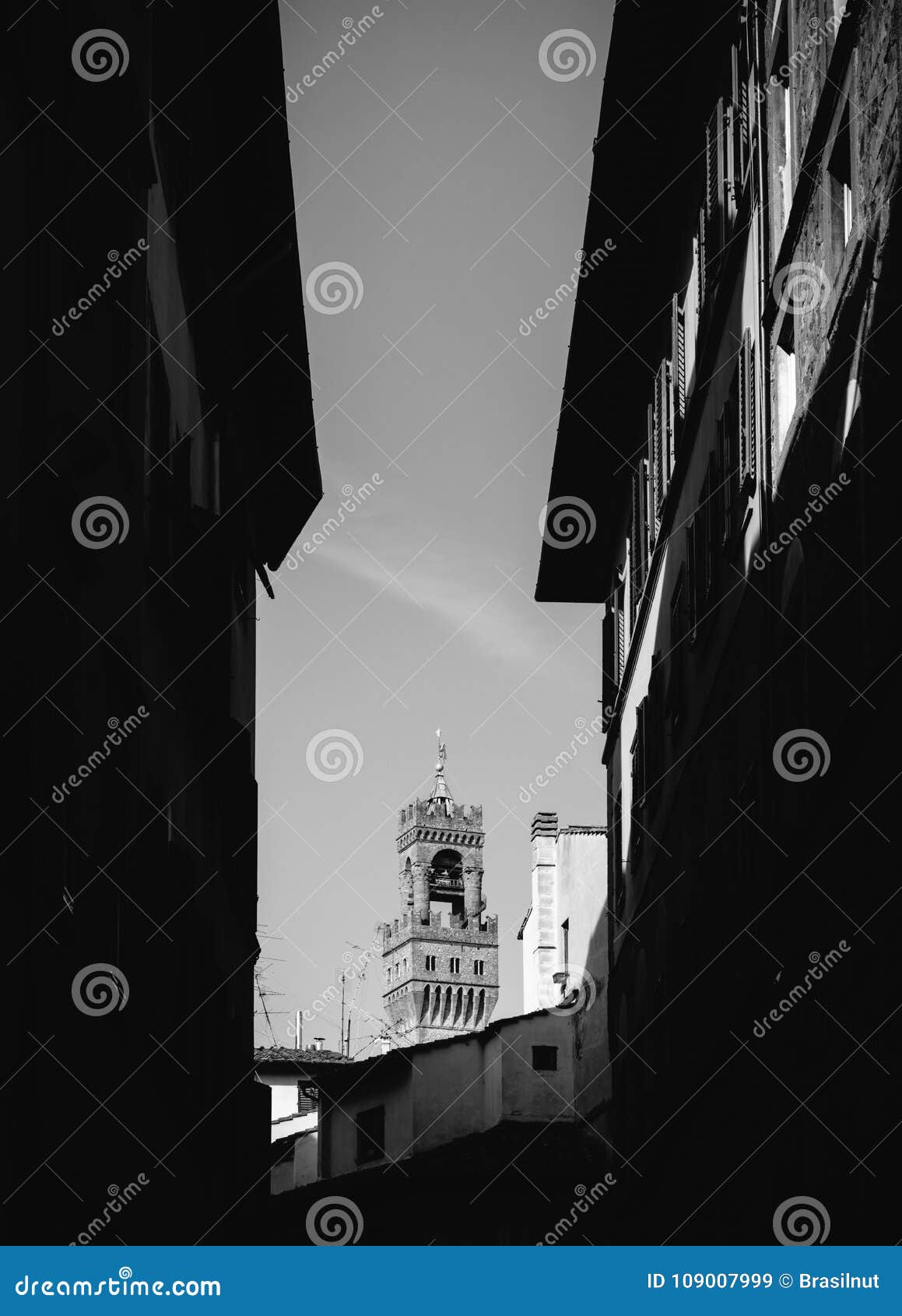 tower of arnolfo, florence, tuscany, italy in black and white fine art style