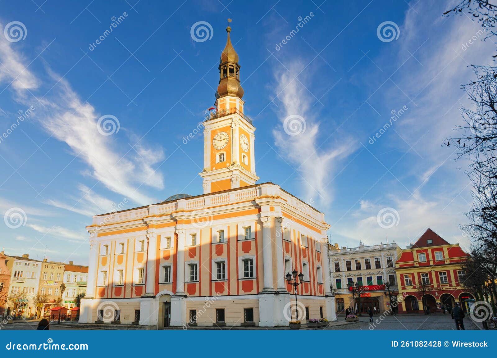 Town Hall in Leszno. Poland Editorial Stock Photo Image of