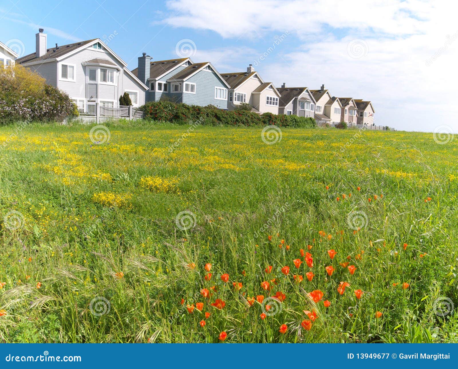 Town Houses on Green Meadow Stock Image Image of poppy, weather 13949677
