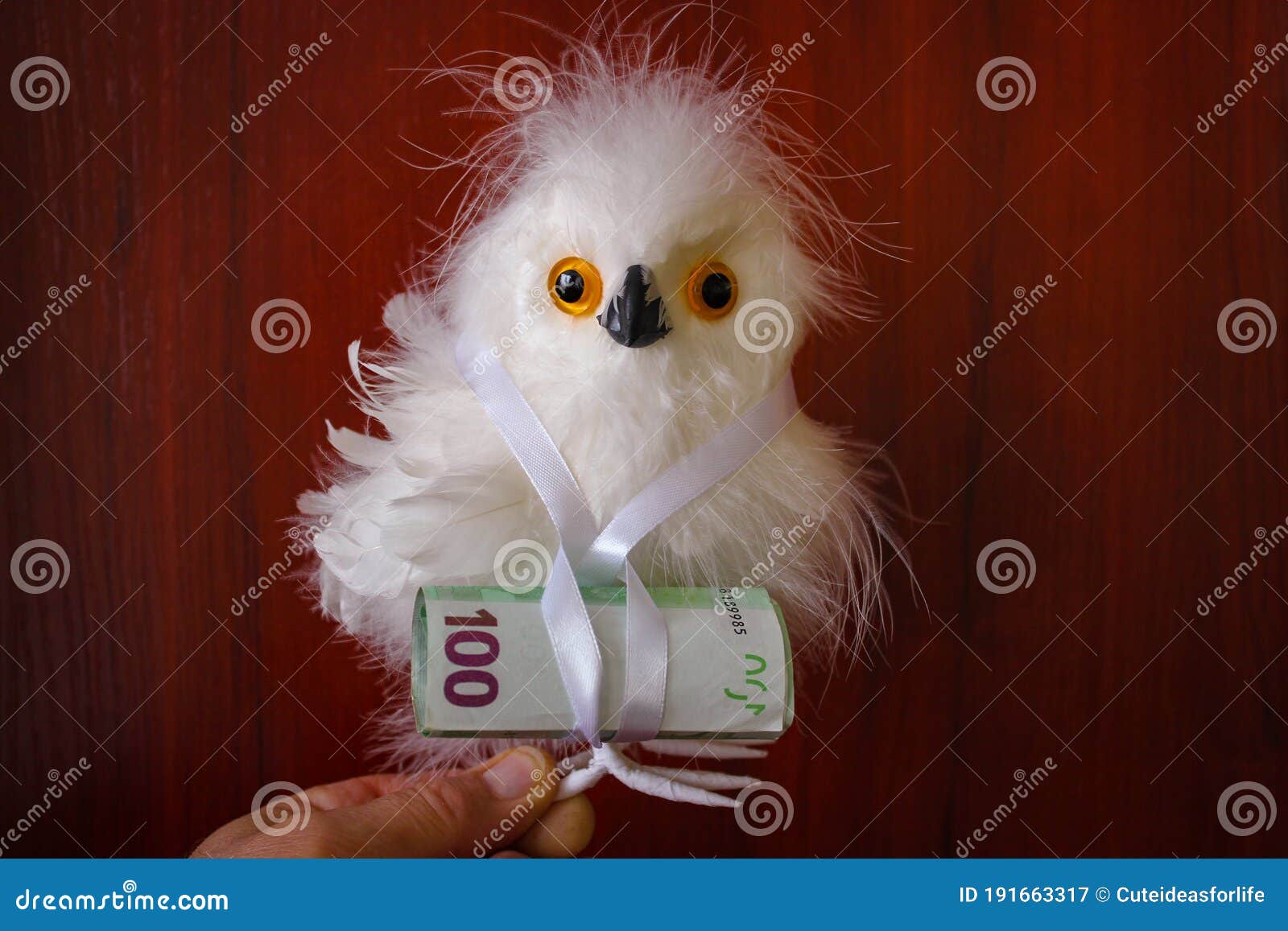 560 Cute Birds Real Stock Photos - Free & Royalty-Free Stock ...