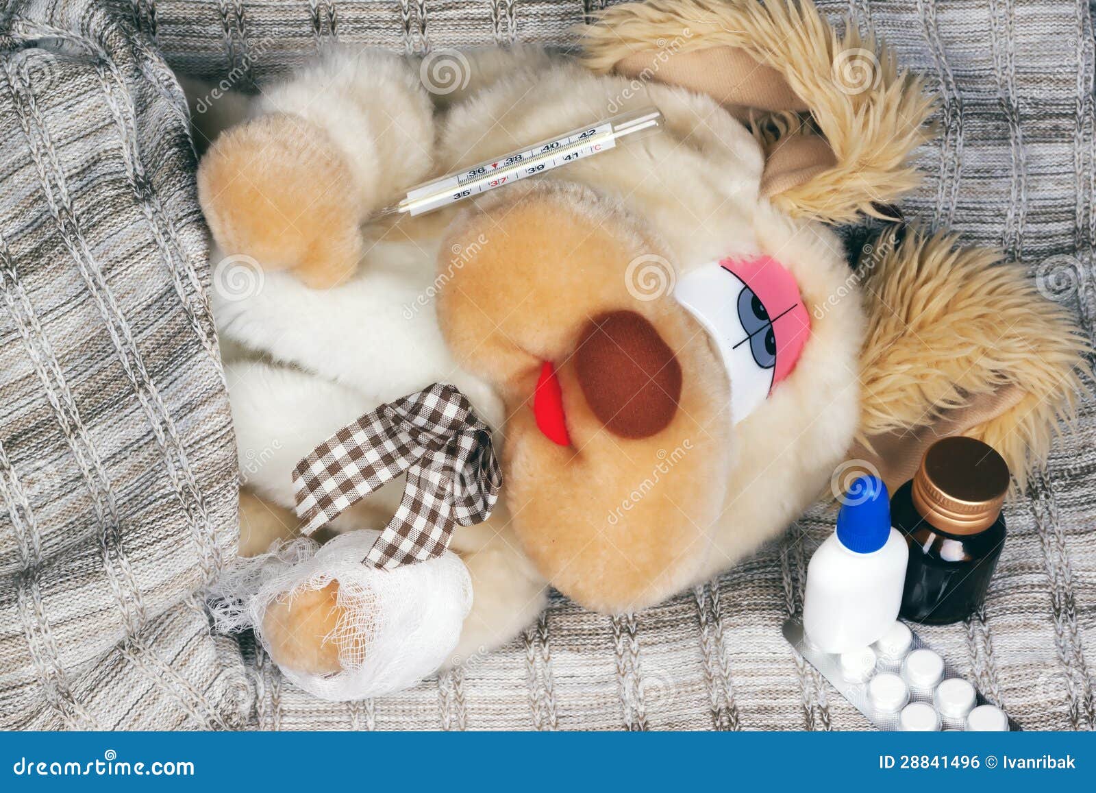 Toy dog is sick stock photo. Image of tablets, temperature 28841496